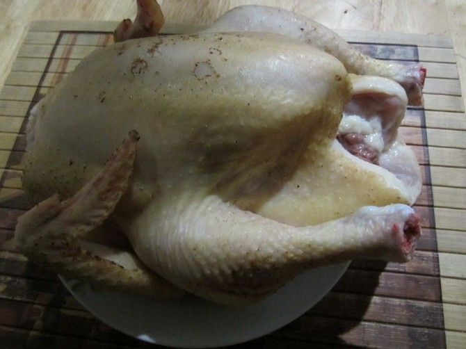 Домашние куры,бройлеры Южное - изображение 1