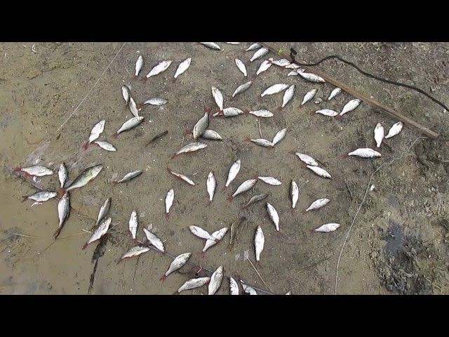Косынка рыболовная в сборе любая Харьков - изображение 1
