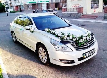 141 Nissan Teana белая аренда авто Київ - изображение 1