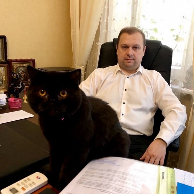 Адвокат по ДТП в Киеве. Київ - изображение 1