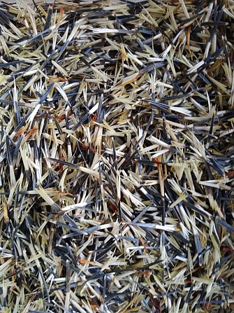 Насіння чорнобривці семена бархатцы Дніпро - изображение 1