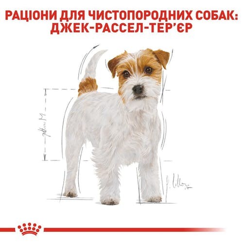 Продам (скидка 10%) Royal Canin Jack Russell Terrier Adult Одесса - изображение 1