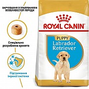 Продам (скидка 10%) Royal Canin Labrador Retriever Puppy Одесса