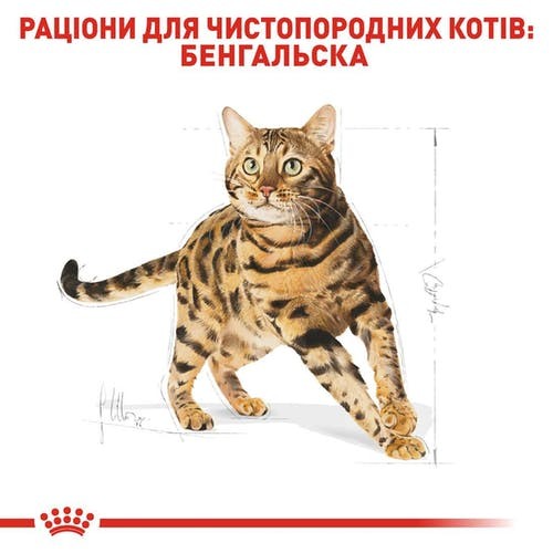 Продам (скидка 10%)Royal Canin Bengal Adult Одесса - изображение 1