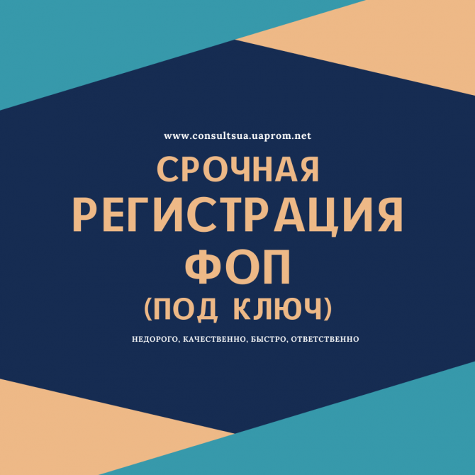 Регистрация ФЛП в Днепре (по Украине) за 1 день Дніпро - изображение 1