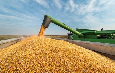 Куплю зерновые дорого Чернигов - изображение 1