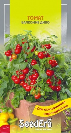 Томат (комнатный) Балконное чудо 0,1г SeedEra Херсон - изображение 1