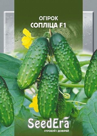 Огурец Соплица 0,5г SeedEra Херсон - изображение 1