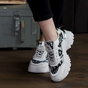 Кроссовки женские Fashion Abelard 2731 39 размер 24,5 см Белый Житомир