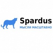 Spardus - SEO-оптимизацией и продвижение сайтов Киев