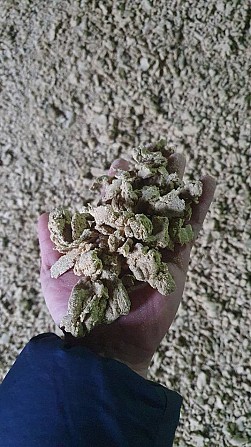 Соевый жмых купить Полтава - изображение 1