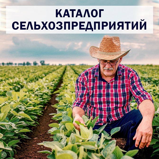 Каталог сельхозпредприятий Триполье. Актуальные контакты Дніпро - изображение 1