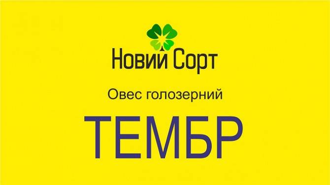 Овес голозерний ТЕМБР (еліта) Київ - изображение 1