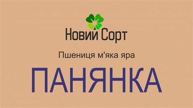 Пшениця м’яка яра Панянка (супереліта) Київ - изображение 1