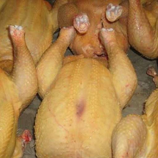 Продамємо фермерські тушки бройлерів, гусей та качок. Бородянка - изображение 1
