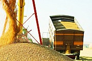 Транспортування зернових вантажів. Послуги зерновозів Кировоград