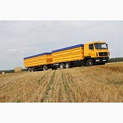 Услуги зерновозов. Перевозка зерна по Украине Винница
