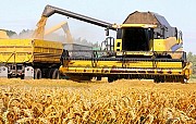 Перевезення зерна по Україні. Послуги зерновозів. Черкассы