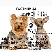 Помогу передержать домашних животных гостиница домашних животных Харьков