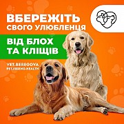Таблетка Bravekto - вбережіть свого улюбленця від блох та кліщів. Харьков