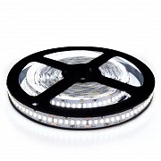 LED лента BIOM V2 SMD2835-240 12V IP20 Стандарт Х-БЕЛАЯ 1м Винница