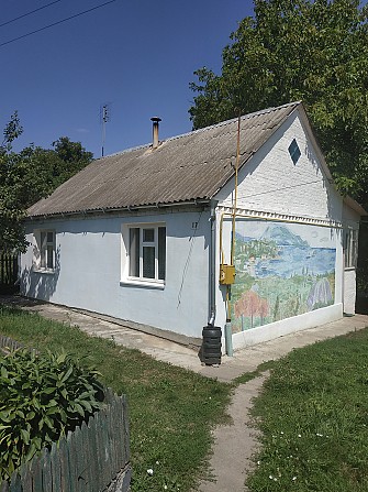Будинок в с.Громи Умань - изображение 1