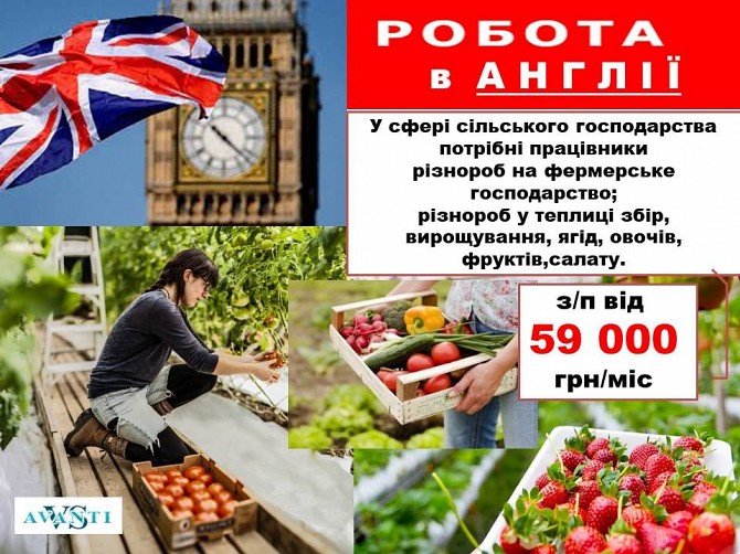 Робота Англія Львов - изображение 1