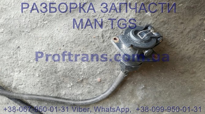 81.25432-6201 Розетка с проводом MAN TGS 81.25432-6182, 81.25432-6175 Киев - изображение 1