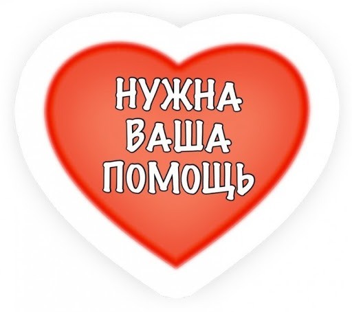 Ищу сиделку с постоянным проживанием Харьков - изображение 1