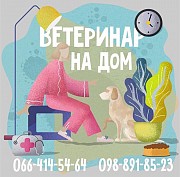Ветеринар на дом в Харькове Харьков