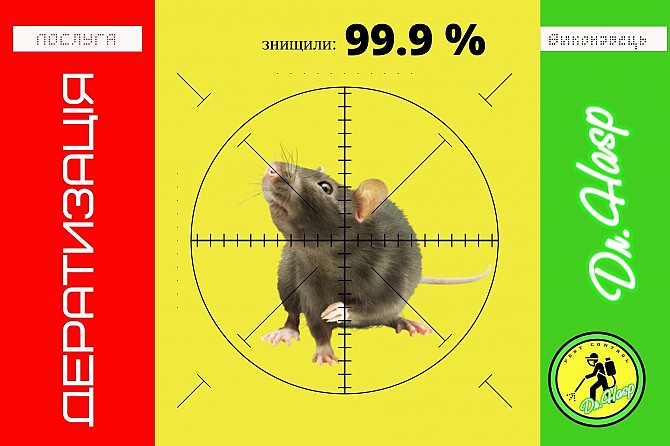 Боротьба з гризунами (дератизація) в Києві і Київській області за системою HACCP Київ - изображение 1