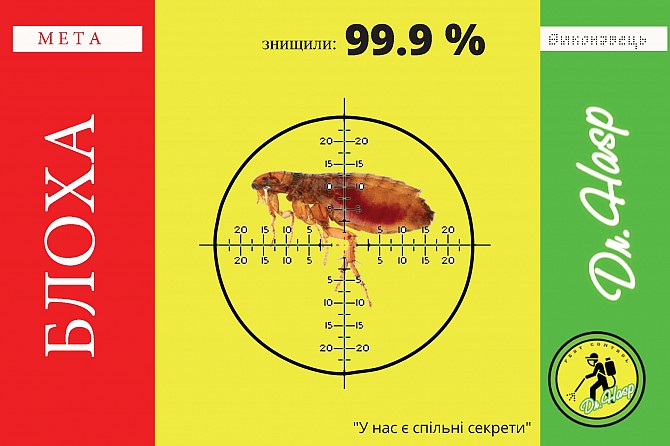 Знищення блох в будинку або квартирі в Києві. Dr.Hasp Київ - изображение 1