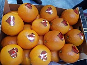 Продаем апельсины Киев