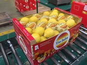 Продаем лимон Киев