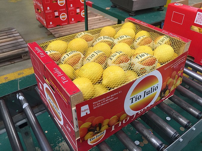 Продаем лимон Киев - изображение 1