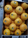 Продаем грейпфрут Киев
