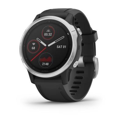 Смарт-часы Garmin Fenix 6S Silver with Black Band (010-02159-01) Київ - изображение 1