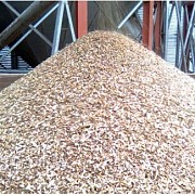 Куплю зерноотходы масличных, бобовых, зерновых культур Кировоград