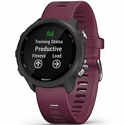 Смарт-часы Garmin Forerunner 245, Black/Berry (010-02120-11) Київ