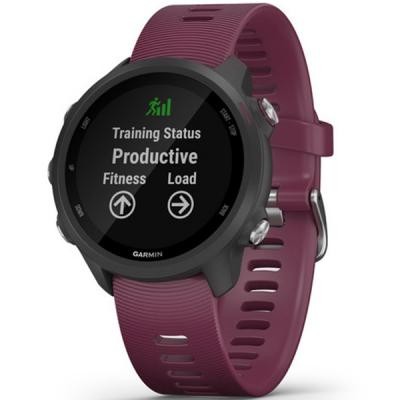 Смарт-часы Garmin Forerunner 245, Black/Berry (010-02120-11) Киев - изображение 1