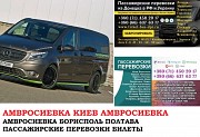 Автобус Амвросиевка Киев Заказать билет Амвросиевка Киев туда и обратно Амвросиевка