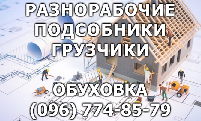 Распиловка, колка дров. Покос травы. Земляные работы. Разнорабочие. Обуховка. Днепр. Дніпро - изображение 1