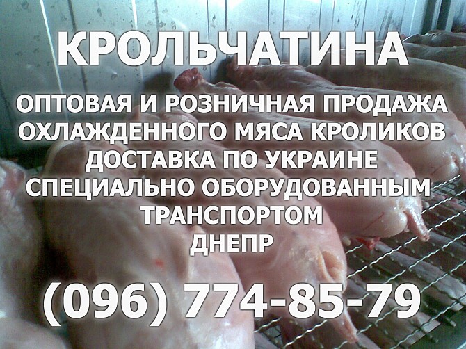 Крольчатина - мясо кролика. Ежедневная доставка по Украине. Днепр. Дніпро - изображение 1