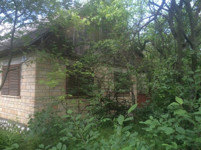 Продам дачу. Киевская область, с. Гореничи Киев - изображение 1