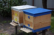 Вулик,улей для пчел,пасека,рамки,купить улья,пыльцесборник Каменец-Подольский