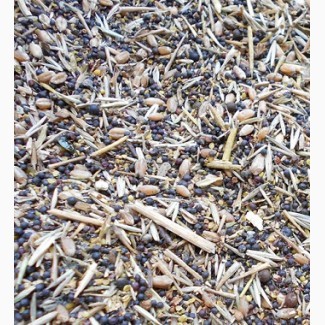 Куплю зерноотходы с самовывозом Сумы - изображение 1