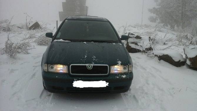 Шрот Skoda Octavia Tour Мукачево - изображение 1