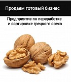 Продаем предприятие по переработке и сортировке грецкого ореха Киев