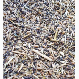 Куплю зерновідходи із самовивозом Сумы - изображение 1
