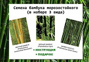 Семена бамбука морозостойкого 3 вида Бородянка